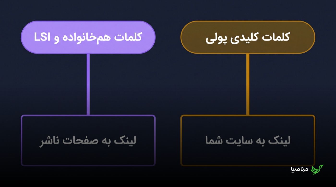 نمودار تفکیک انکرتکست: کلمات هم‌خانواده و LSI برای لینک‌دهی به صفحات ناشر در ستون بنفش، در برابر کلمات کلیدی پولی برای لینک‌دهی به سایت خودتان در ستون طلایی