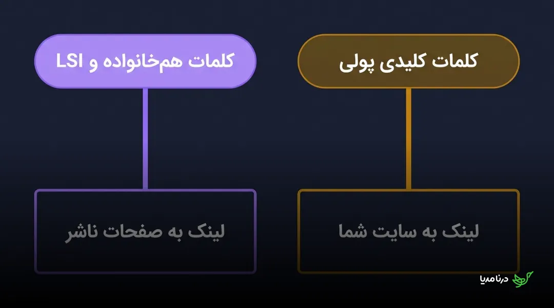 نمودار تفکیک انکرتکست: کلمات هم‌خانواده و LSI برای لینک‌دهی به صفحات ناشر در ستون بنفش، در برابر کلمات کلیدی پولی برای لینک‌دهی به سایت خودتان در ستون طلایی