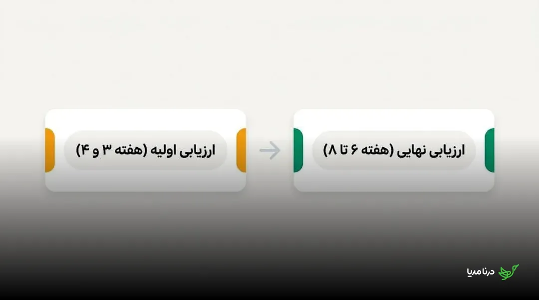 خط زمانی ارزیابی رپورتاژ از بررسی اولیه در هفته سوم و چهارم تا ارزیابی نهایی در هفته ششم تا هشتم
